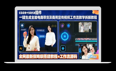 sora插件生成全能商用带货及宣传视频coze工作流拆解教程-站源网