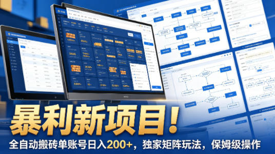 暴利新项目！全自动搬砖单账号日入200+，独家矩阵玩法，保姆级操作【揭秘】-站源网