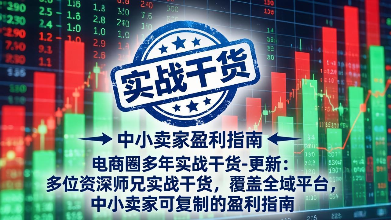 电商圈多年实战干货-更新4月：多位资深师兄实战干货，覆盖全域平台，中小卖家可复制的盈利指南-站源网