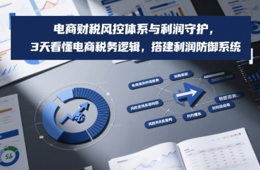 电商财税风控体系与利润守护,3天看懂电商税务逻辑,搭建利润防御系统-站源网