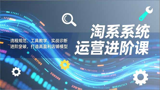 淘系系统运营进阶课2.0，流程规范、工具教学、实战诊断，进阶突破，打造高盈利店铺模型-站源网