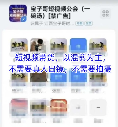 宝子哥头部团队短视频带货，以混剪为主，不需要真人出镜，不需要拍摄【更新26年3月】-站源网