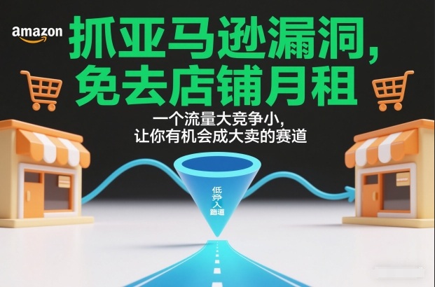 抓亚马逊漏洞，免去店铺月租，一个流量大竞争小，让你有机会成大卖的赛道-站源网