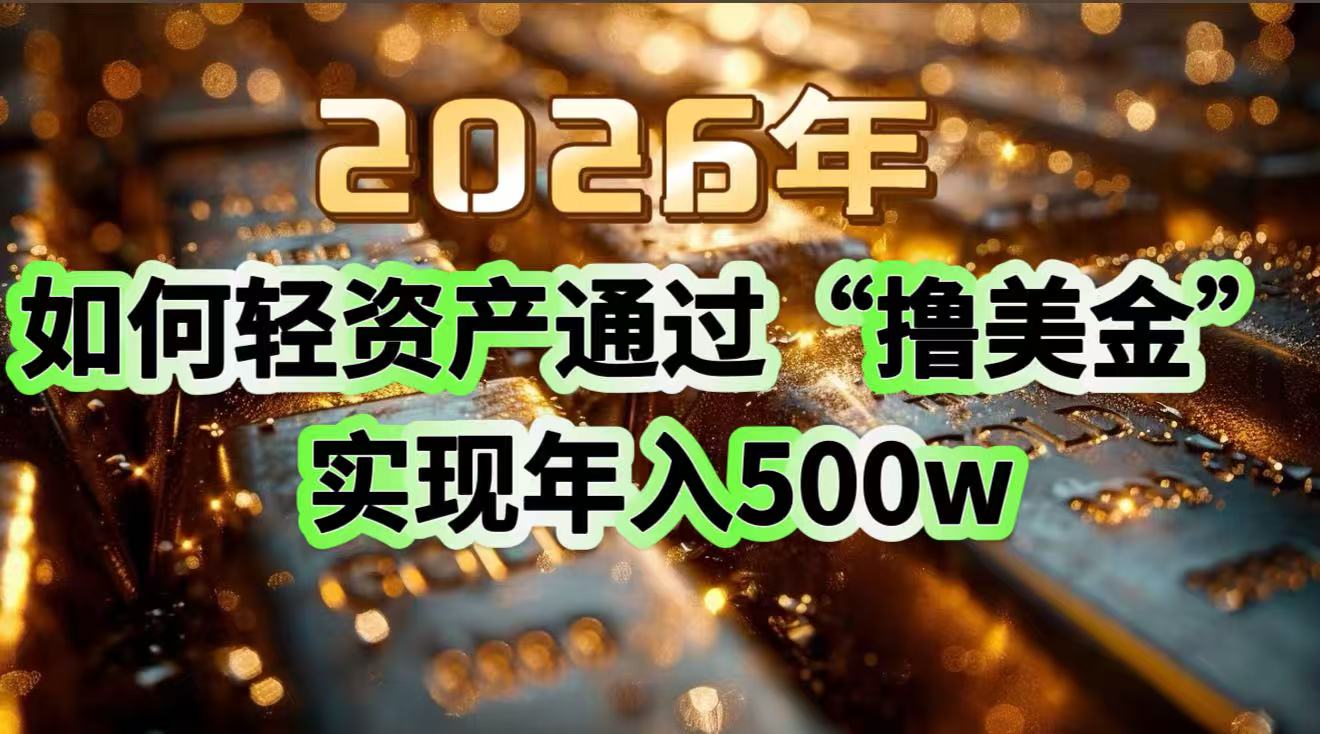 2026年如何轻资产通过“撸美金”实现年入500w-站源网
