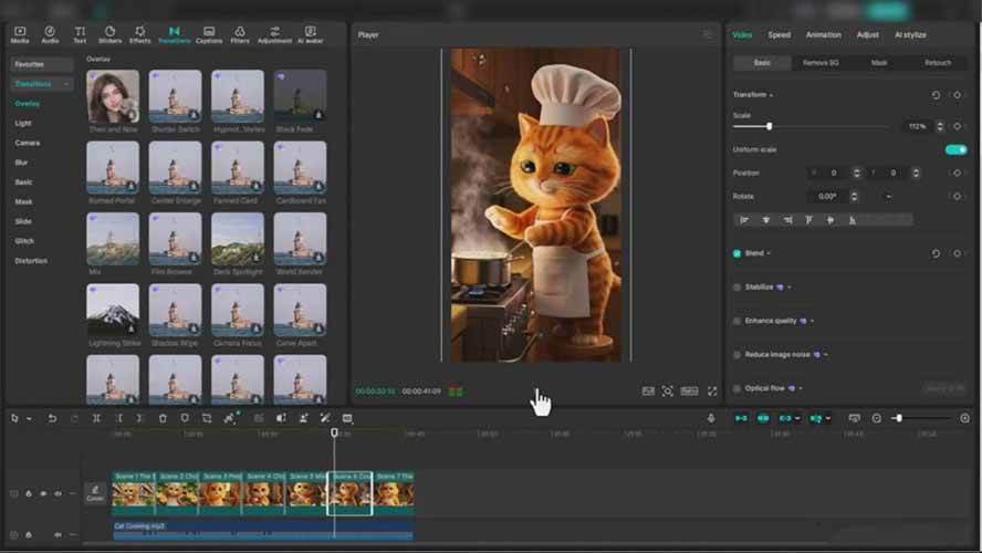 （17091期）AI橘猫爆款视频课：创意脚本，AI生成，平台适配，从零开始打造千万播放萌宠账号-站源网