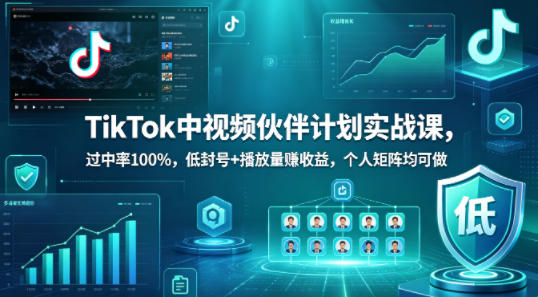 TikTok中视频伙伴计划实战课，过中率100%，低封号+播放量賺收益，个人矩阵均可做-站源网