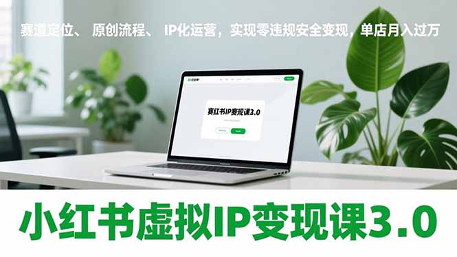 小红书虚拟IP变现课3.0，赛道定位、原创流程、IP化运营，实现零违规安全变现，单店月入过万-站源网