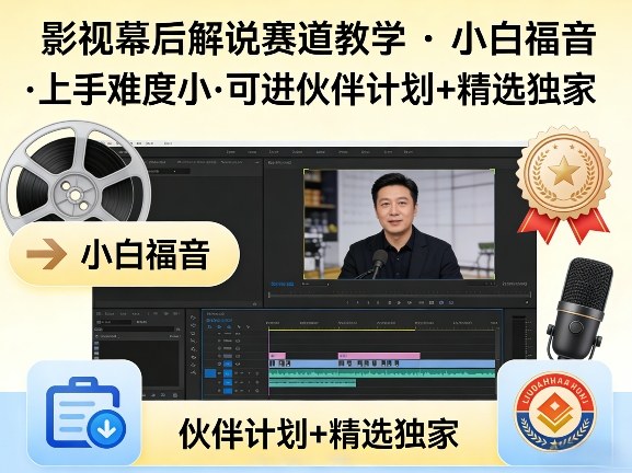 某大佬的影视幕后解说赛道教学，小白福音，上手难度小，可进伙伴计划+精选独家-站源网