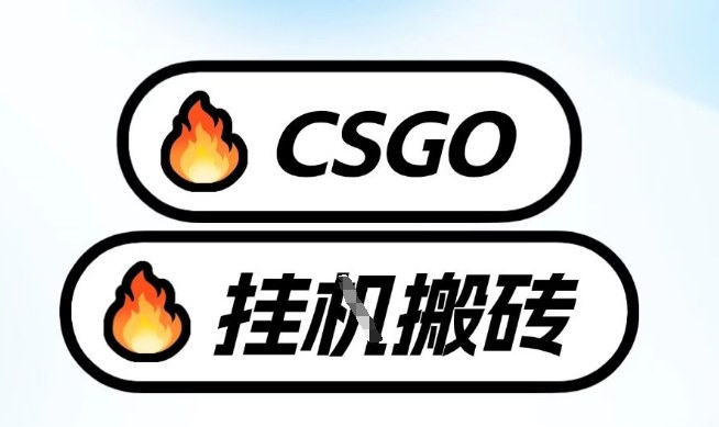 真全网独家CSGO挂G，最新玩法,单日捡漏1K+，不用电脑，不用打游戏【揭秘】-站源网