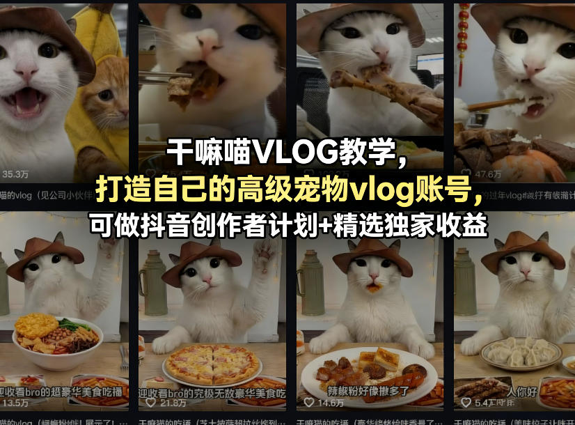 干嘛喵VLOG教学，打造自己的高级宠物vlog账号，可做抖音创作者计划+精选独家收益-站源网