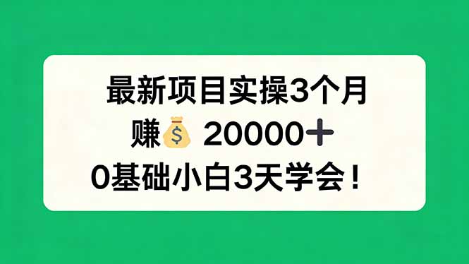 最新项目实操3个月，赚钱20000+，0基础小白3天学会！-站源网