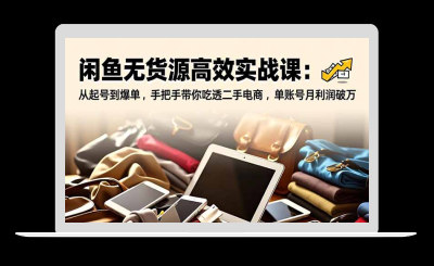 闲鱼无货源高效实战课：从起号到爆单，手把手带你吃透二手电商，单账号月利润破万-站源网
