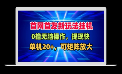 全网首发挂G，盒子自动賺米，单机20+，可矩阵放大，长期稳定运营【揭秘】-站源网