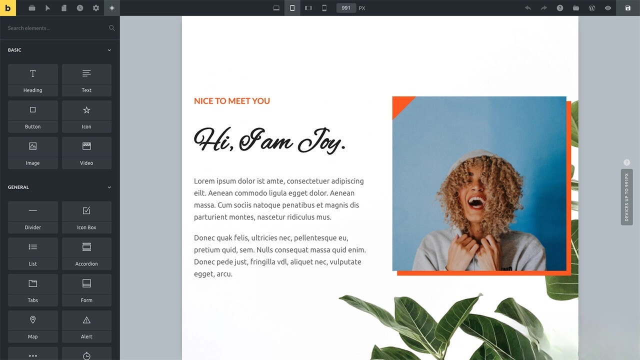 WordPress主题Bricks v1.9 破解版-站源网