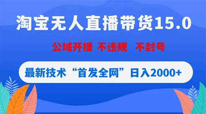 淘宝无人直播带货15.0，不封号，不违规，公域玩法，首发全网日入2000+-站源网