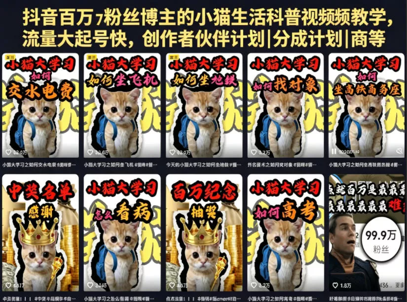 抖音百万粉丝博主的小猫生活科普视频教学,流量大起号快,创作者伙伴计划|分成计划|商单|收徒等-站源网