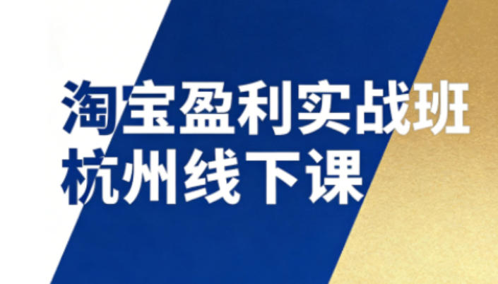 淘宝盈利实战班杭州线下课12月26-28日（音频+字幕），帮你掌握SOP流程+12门核心技术-站源网