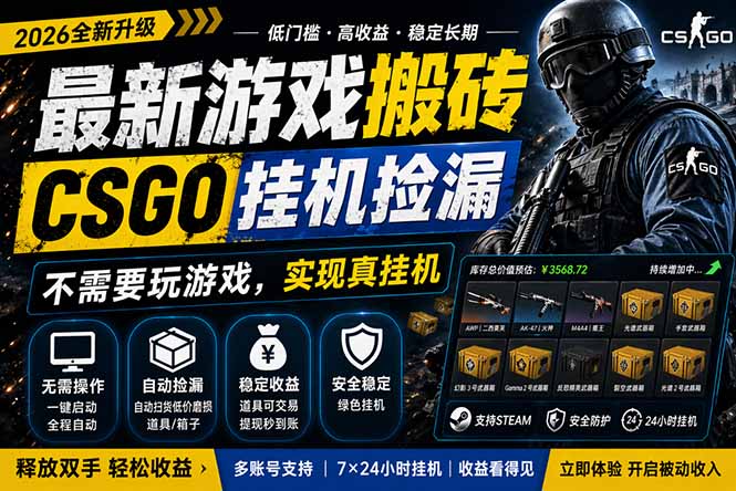 最新游戏搬砖，CSGO纯挂机，不需要玩游戏，实现真挂机，月入1W+，五一小高峰上车可吃肉，…-站源网