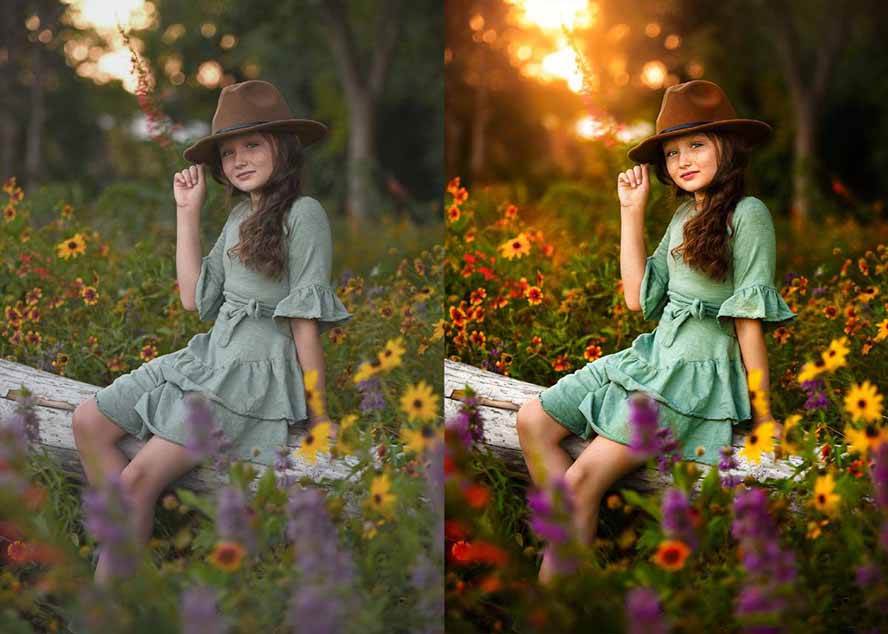 (17403期)大师级GTG出品-老友记系列AI自适应预设The Friends Preset Collection-站源网