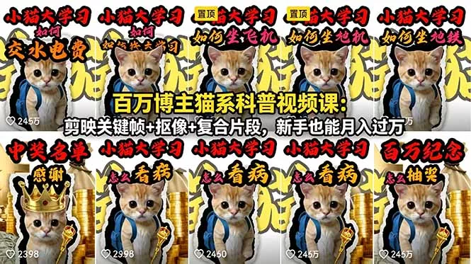 百万博主猫系科普视频课:剪映关键帧+抠像+复合片段,新手也能月入过万-站源网