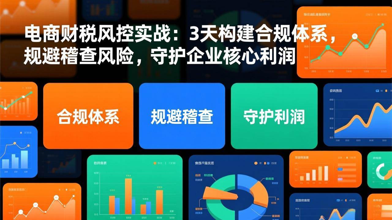 （17197期）电商财税风控实战：3天构建合规体系，规避稽查风险，守护企业核心利润-站源网