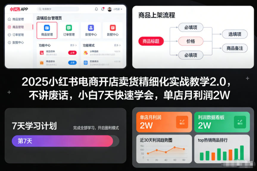 2025小红书电商开店卖货精细化实战教学2.0，不讲废话，小白7天快速学会，单店月利润2W-站源网