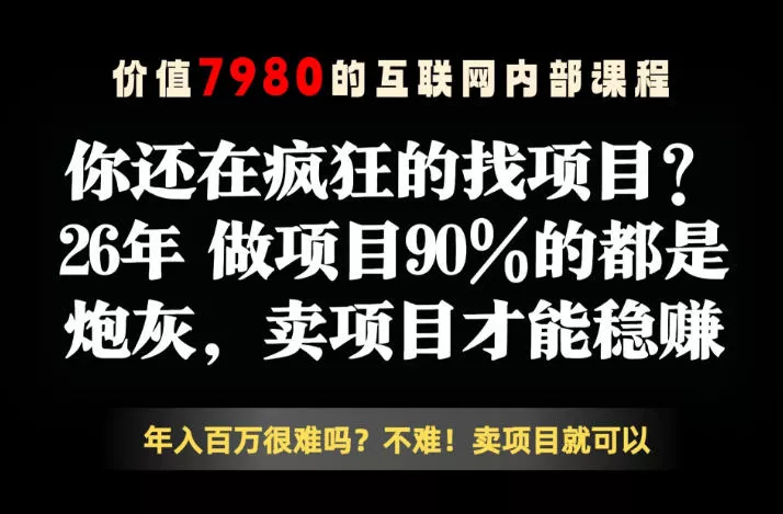 26年请不要疯狂的找项目了，卖项目远比你想象的暴利，你也可以月入10W+【揭秘】-站源网